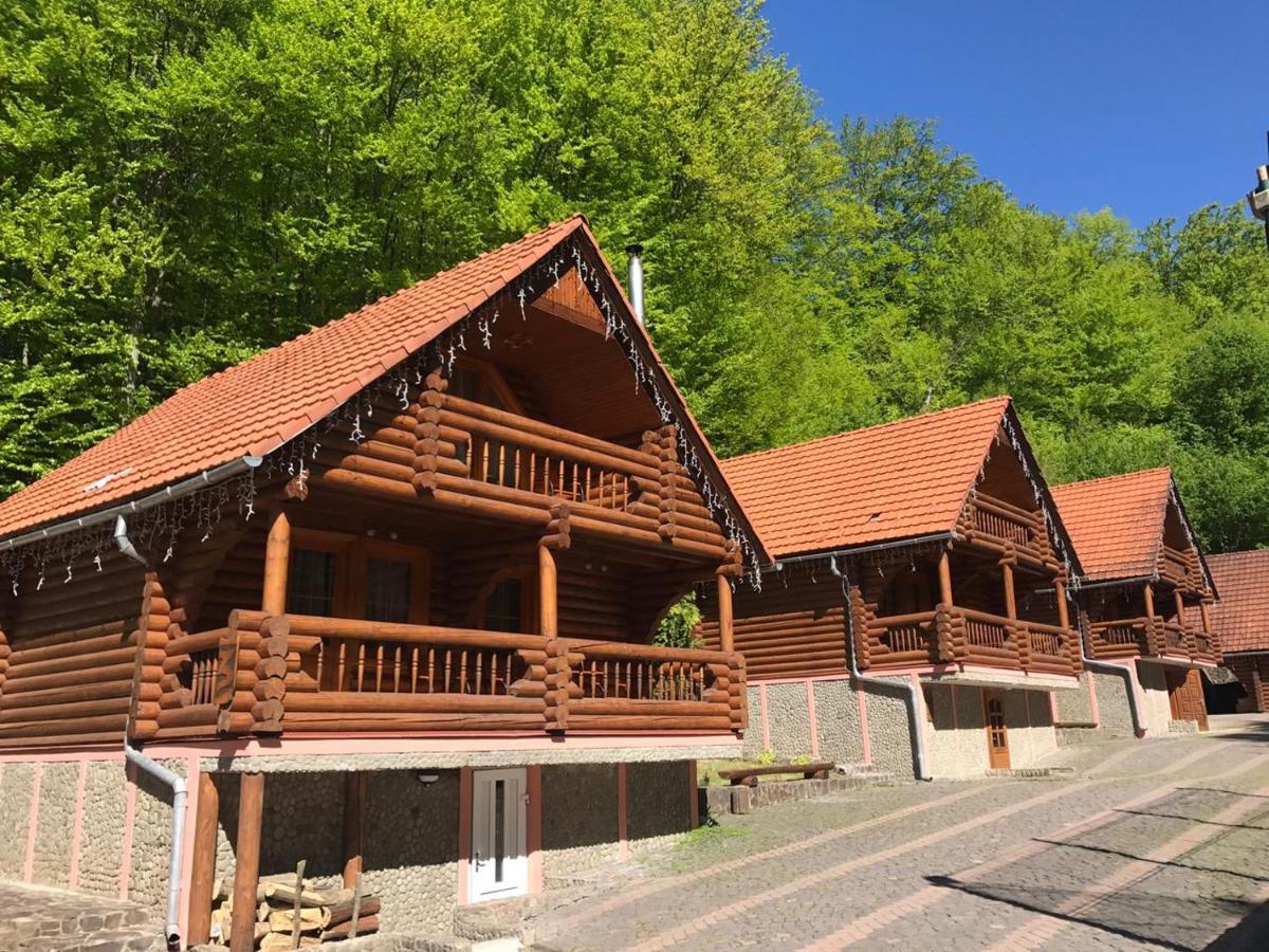 Toursit Complex Polyana Kvasova Hotell Exteriör bild