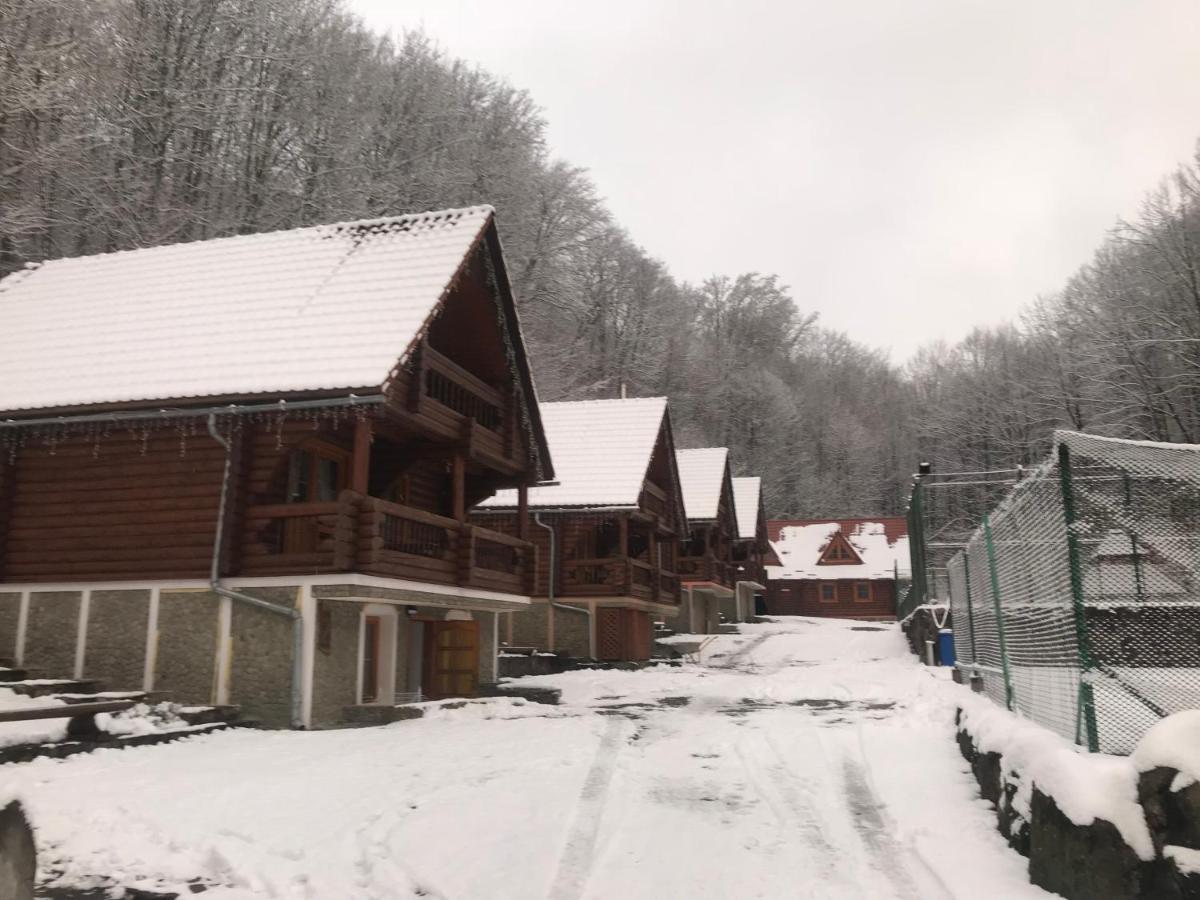 Toursit Complex Polyana Kvasova Hotell Exteriör bild